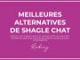 Top : Les 20 Meilleures Alternatives de Shagle Chat en 2019