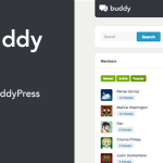 BuddyPress Thème : Buddy: Thème WordPress et BuddyPress simple (Guide,