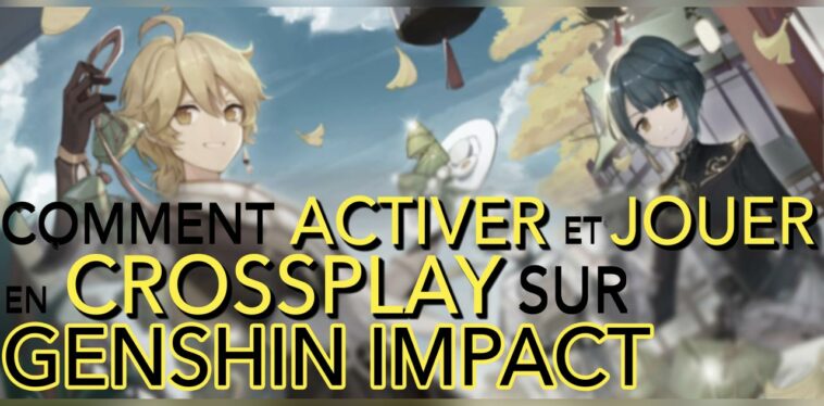 Comment activer Cross Play switch ?