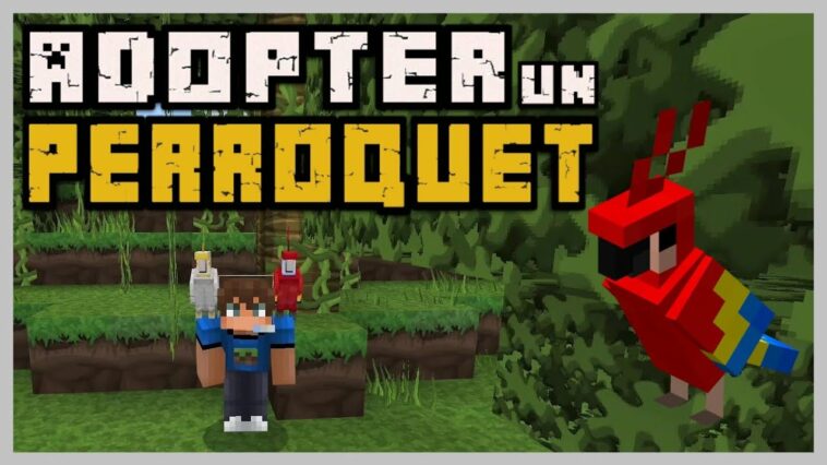 Comment adopter une tortue sur Minecraft ?