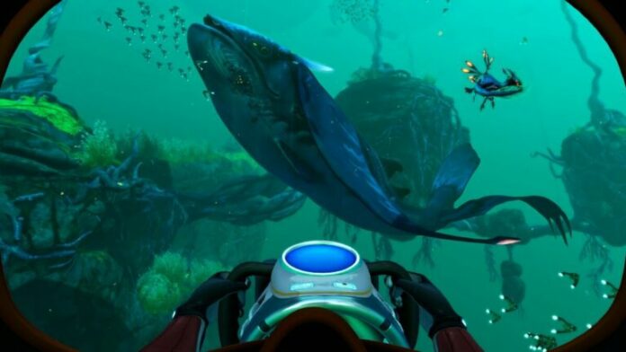 Comment afficher les coordonnées Subnautica ?