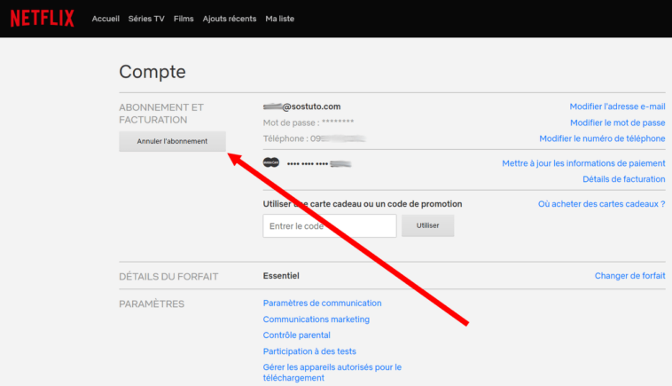 Comment annuler les 30 jours gratuit sur Netflix ?