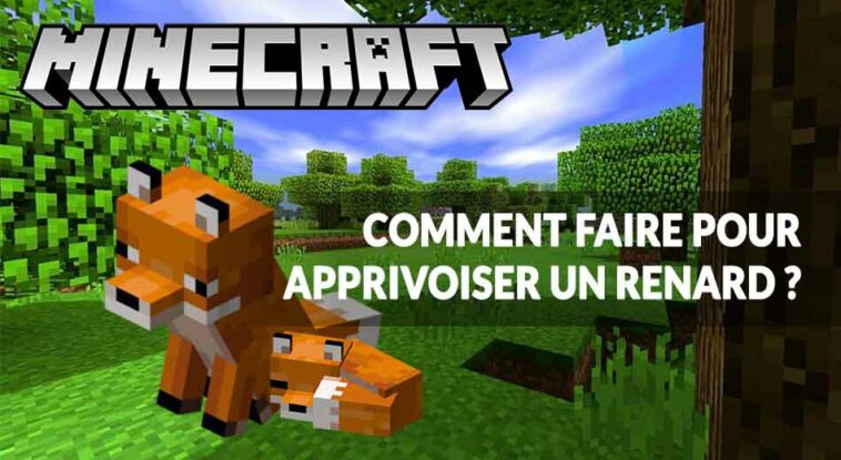 Comment apprivoiser un renard sur Minecraft ?