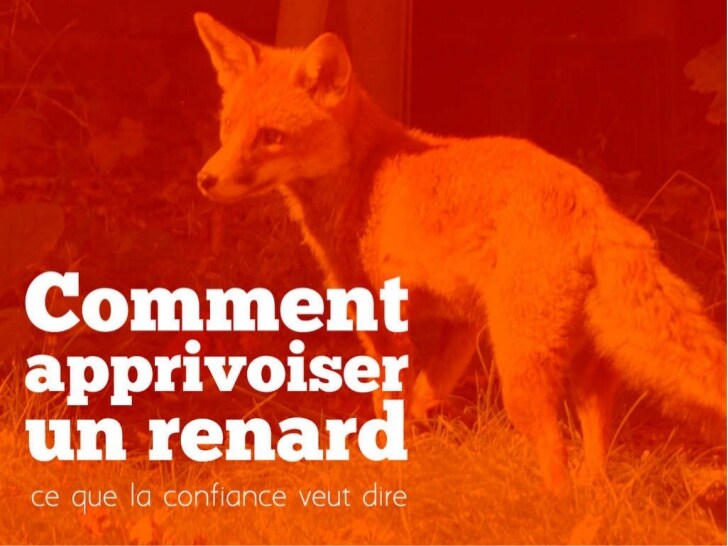 Comment apprivoiser un renard ?