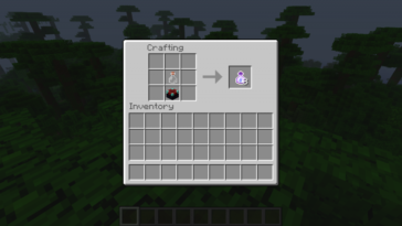 Comment avoir des XP ?