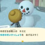 Comment avoir un grand flocon de neige Animal Crossing ?