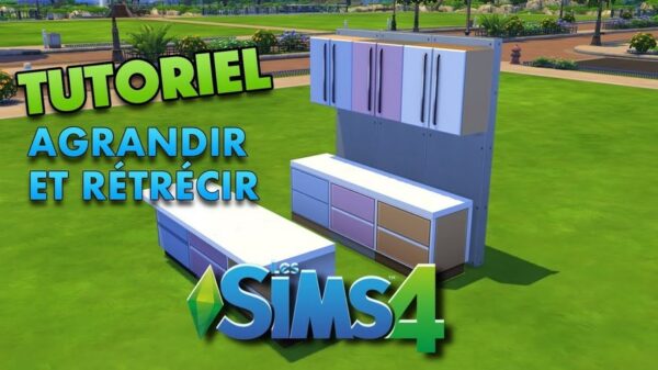 Comment débloquer objet Sims 4