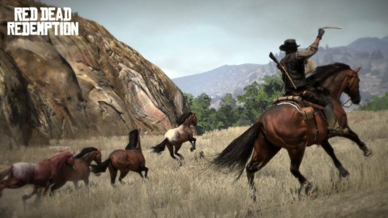 Comment dompter un cheval ?