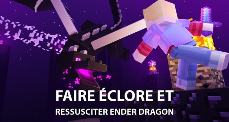 Comment faire éclore l'œuf de l'ender dragon Minecraft sans mod ?