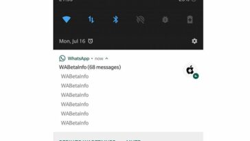 Comment faire la mise à jour de mon WhatsApp ?