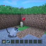 Comment faire pour avoir un chat dans Minecraft ?