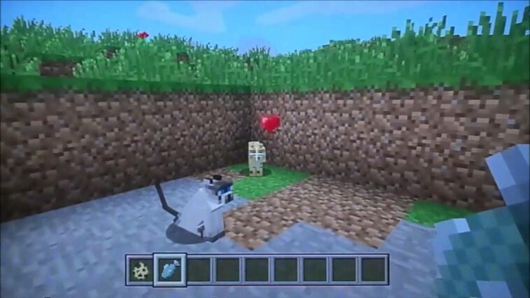 Comment faire pour avoir un chat dans Minecraft ?