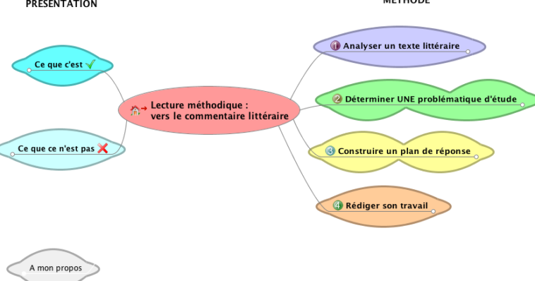 Comment faire pour mettre un commentaire sur Shein ?