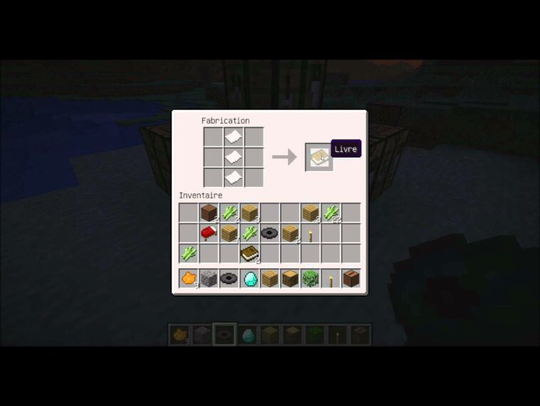 Comment faire un livre sur MC ?