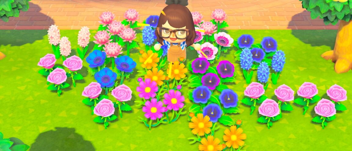 Comment faire une rose orangé dans Animal Crossing ?