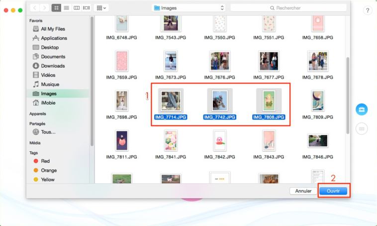 Comment importer plusieurs photos dans Google Photos ?