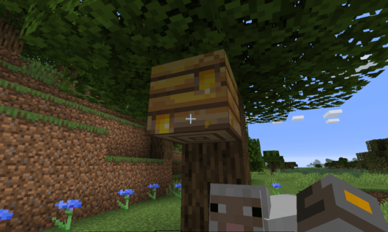 Comment obtenir des rayons de miel Minecraft ?