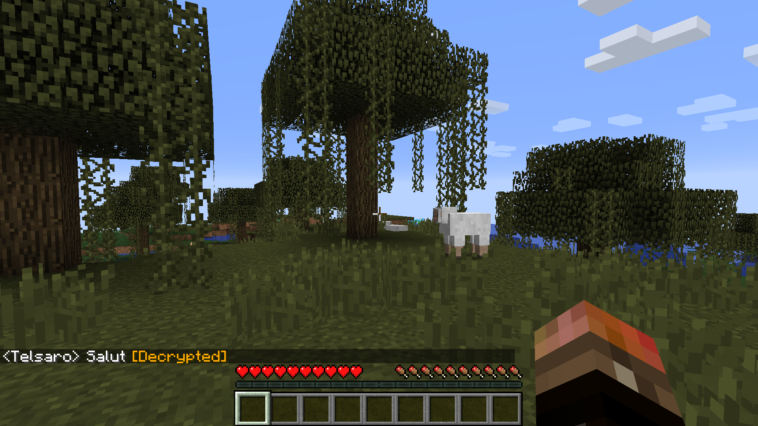 Comment ouvrir le chat dans Minecraft PC ?