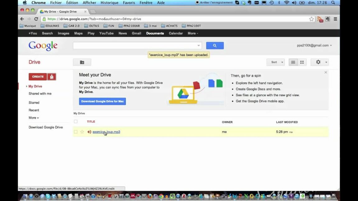 Comment partager espace Google Drive ?