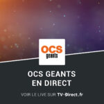 Comment regarder OCS sur Freebox ?