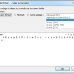 Comment rendre lisible un fichier JSON ?