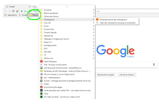 Comment retrouver ses favoris sur Google Chrome ?