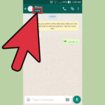 Comment savoir si quelqu'un a un compte WhatsApp ?