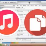 Comment supprimer les fichiers iTunes ?
