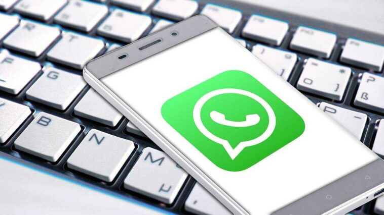 Comment télécharger plusieurs photos sur WhatsApp ?