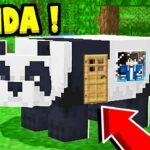 Comment trouver un panda dans Minecraft ?