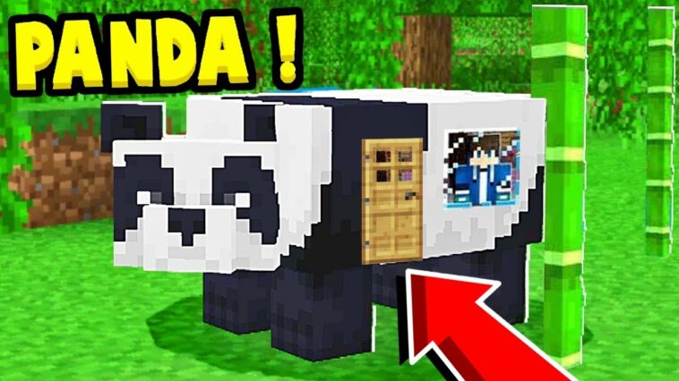 Comment trouver un panda dans Minecraft ?