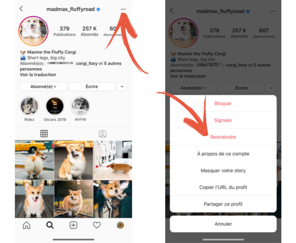 comment voir les.anciennes notes insta