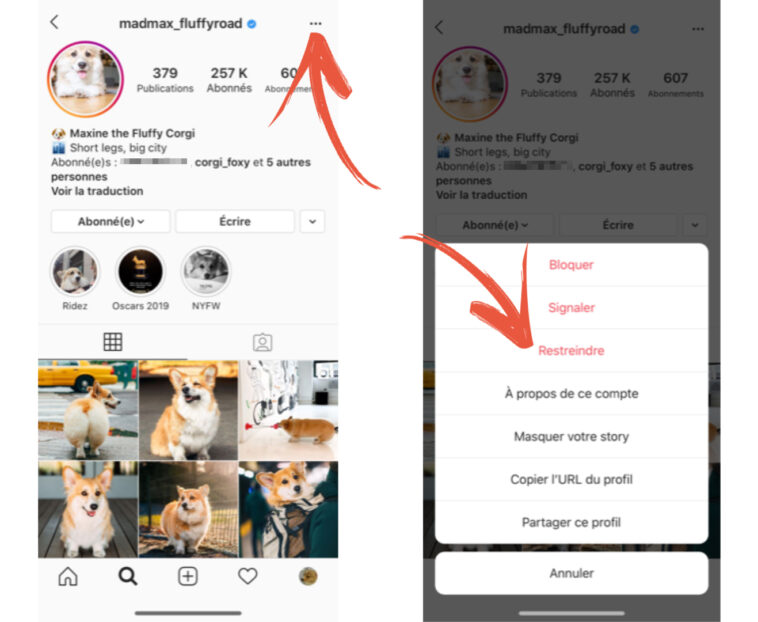 Comment voir les anciennes photos Instagram de quelqu'un ?