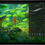 Est-ce que procreate est gratuit sur iPad ?