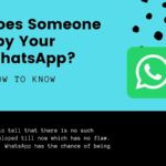 How do I contact someone on WhatsApp?