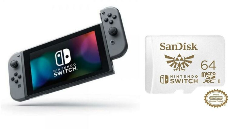 Quel micro pour la switch ?