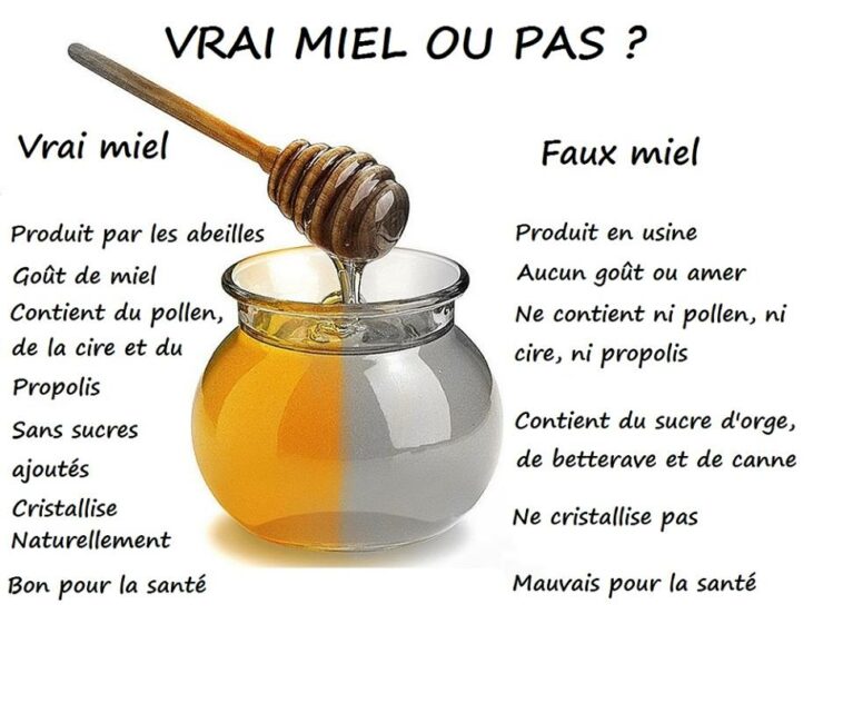 Qui peut faire du miel ?