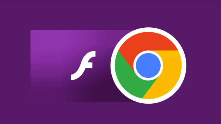 Qui remplace Flash Player sur Chrome ?