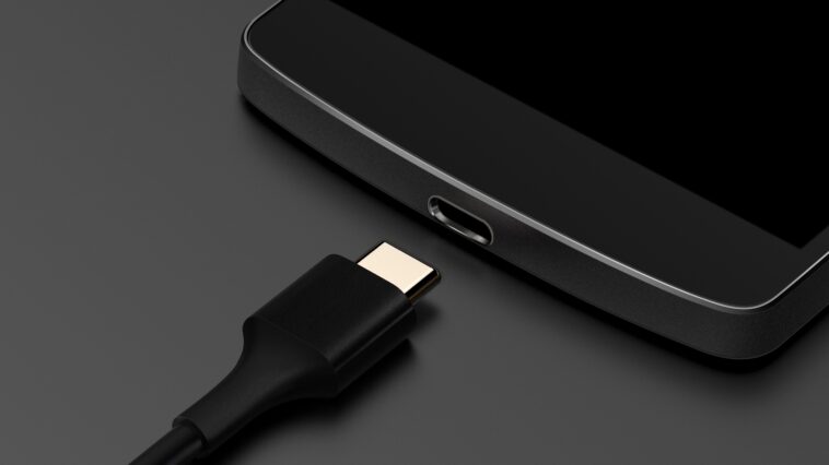 What devices use USB Type C?